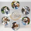 Bubble Hands Dog Washing Gloves Review Deep Dive Into Grooming and Cleaning Essentials Bubble Hands Dog Washing Gloves Review Deep Dive Into Grooming and Cleaning Essentials