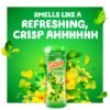 Gain Fireworks In-Wash Scent Booster Beads Review Best Laundry Enhancer by Gain Gain Fireworks In-Wash Scent Booster Beads Review Best Laundry Enhancer by Gain