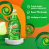 Gain Ultra Dishwashing Liquid Review Best Organic Dish Soap by Gain for Sparkling Clean Gain Ultra Dishwashing Liquid Review Best Organic Dish Soap by Gain for Sparkling Clean