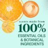 Seventh Generation Dish Soap Review Plant-Based Clementine Zest Formula Effectiveness Tested Seventh Generation Dish Soap Review Plant-Based Clementine Zest Formula Effectiveness Tested