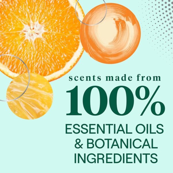Seventh Generation Dish Soap Review Plant-Based Clementine Zest Formula Effectiveness Tested Seventh Generation Dish Soap Review Plant-Based Clementine Zest Formula Effectiveness Tested